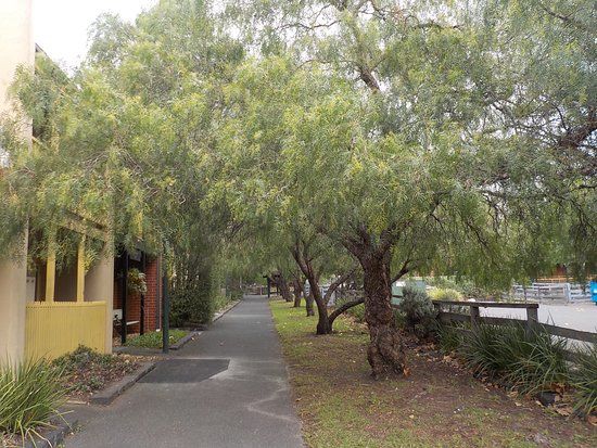Stock Route Reserve and Bike Path